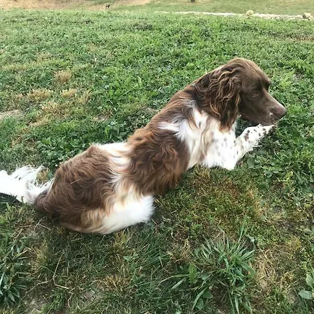 Panzió La Grande Dame