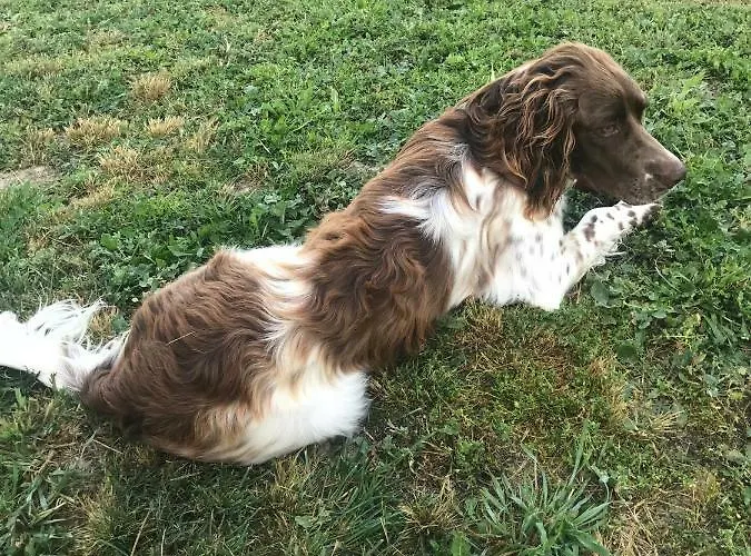 Couette-café La Grande Dame